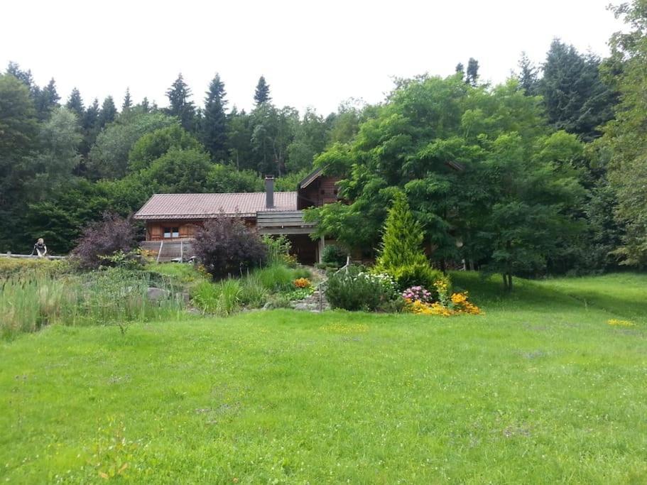 Le Chalet Du Hohwald- Piscine Interieure Chauffee - Proche Champ Du Feu Экстерьер фото